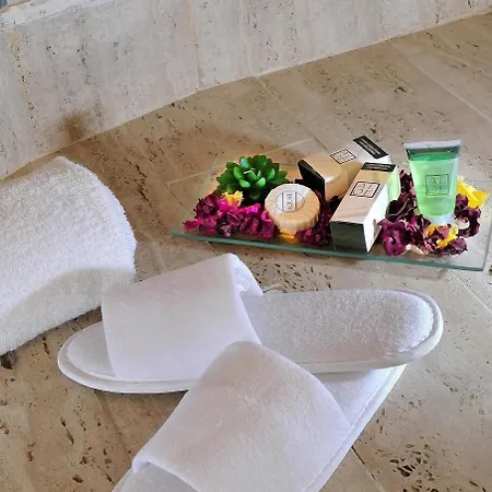 Scott House Hotell 3*